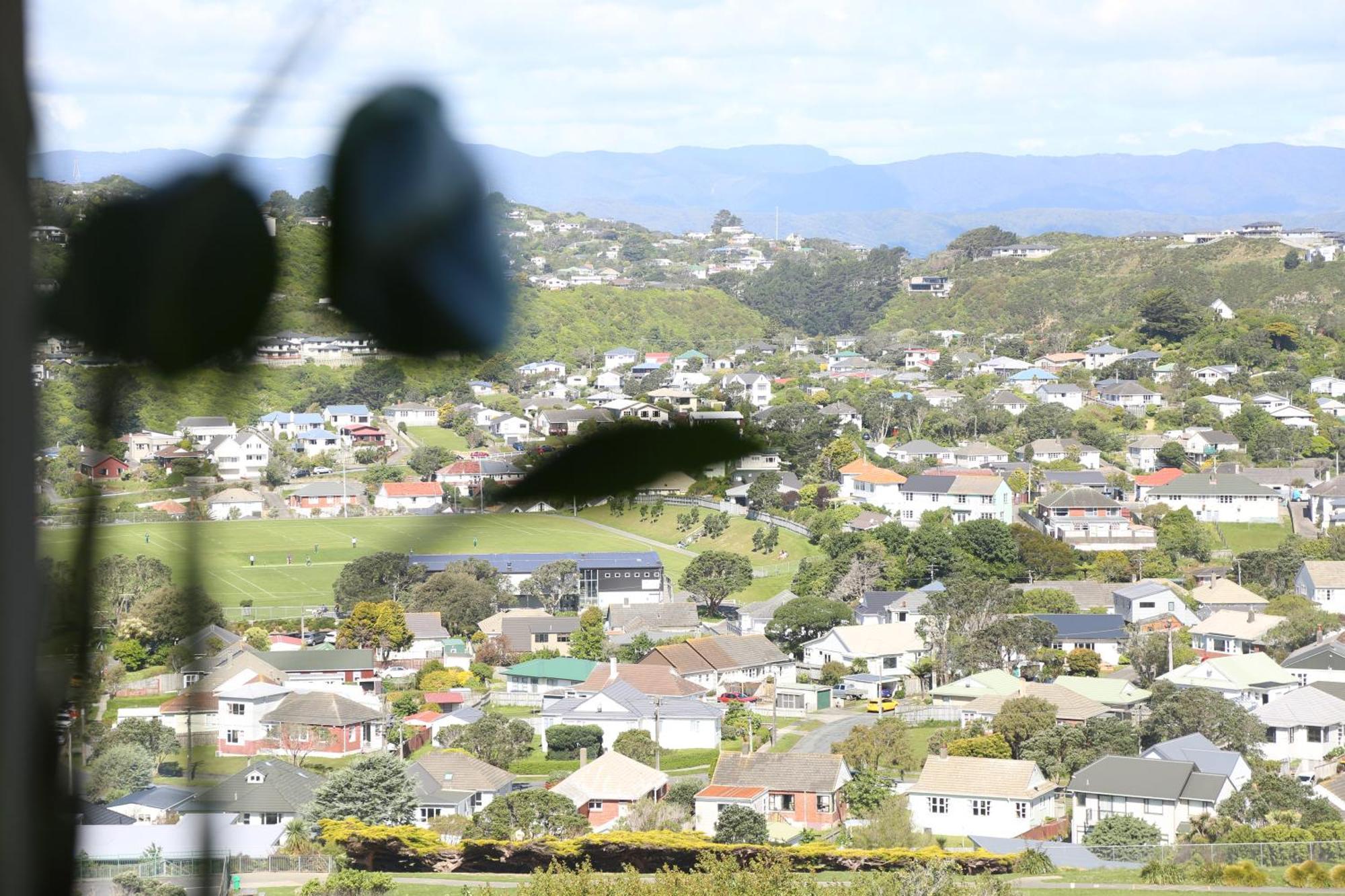 Skyline Vista - Entirely New House With Luxe Views, Espresso, Netflix & Free Parking Villa Wellington Bagian luar foto